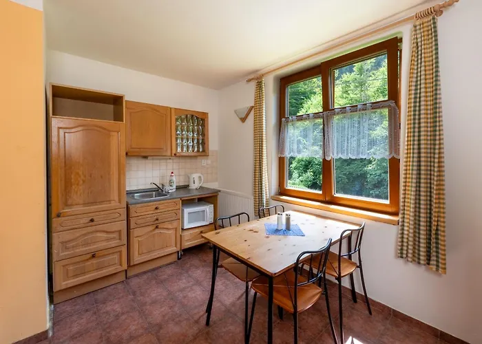 Aparthotel U Gasku 3*